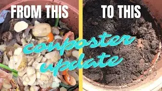 Quick DIY Composter Update | 4 Months On!