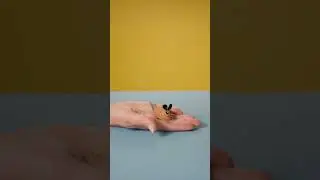 S&uuml;&szlig;e Flitze-M&auml;use aus Waln&uuml;ssen basteln!