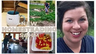 DITL of a HOMESTEADING SAHM of 2 | Homemaking, gardening, and homestead with me | Day in the life