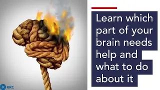Learn which part of your brain needs help and what to do about it