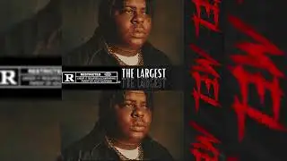 [FREE] BigXThaPlug Loop Kit/Sample Pack 