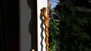Twisted walking stick