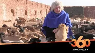 Le360.ma •مأوى رحيم ينتشل الكلاب الضالة من شوارع أكادير
