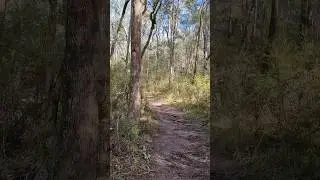 Cathedral Range #Victoria #Australia #rockycliff #mountain #travel #hike #rocks #rivers #ASMR #relax