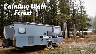Walking in the Forest || Free Camping at Bighorn National Forest || Calming Rain and Fog