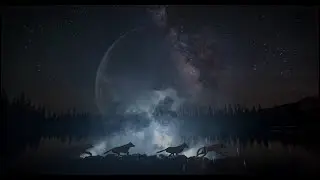 FAMILY &ndash; A new short film asking @SecHaaland to relist the wolf under the Endangered Species Act.