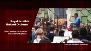 Great Comedy Overtures (Royal Scottish National Orchestra, Friedel) [8.573418] - Raising a Smile
