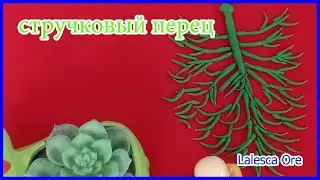 Или вы также можете попробовать нарисовать впечатляющие геометрические фигуры самостоя - Lalesca Ore