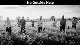 How Tanzanian Farmers Built a Green Revolution on Their Own