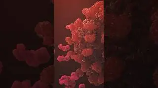 Antibodies Neutralise a Virus | Immune System in Action (3D Animation) #antibodies #science