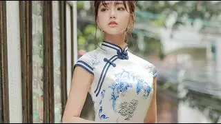 Brilliant Beauty in Chinese Dress (Qipao)