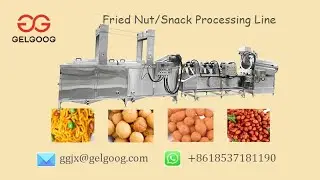 Automatic Fried Nut Processing Machine / Snack Peanut Frying Line GG