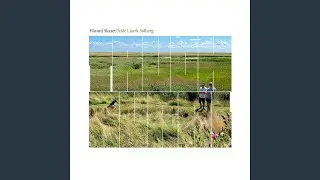 Ottestad Orbits
