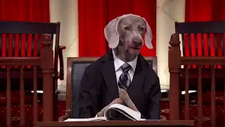 Hernandez v. Mesa: Oral Argument - February 21, 2017