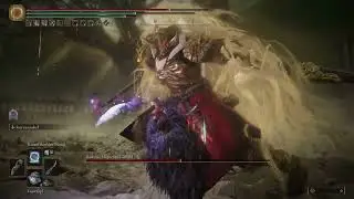 NG7+ Consort Parry Curve Wing of Astel 001