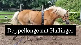 Willy -Doppellonge mit Cavaletti | Teil 2