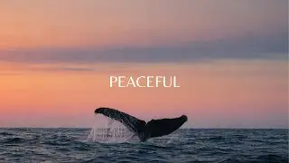 Deep Calm Piano & Violin Music for Relaxation, Peace & Inner Stillness