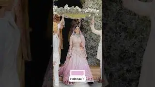 7 best colour palette for Bride's Lahenga #indianweddingdecor #wedding #love #indianwedding #shorts