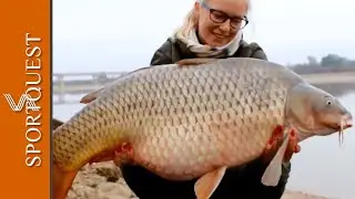 Wild Carp Fishing Adventures on the River Ebro, Spain 🐟