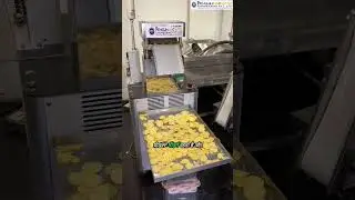 Popchip Making Machine |  Popchip Machine | Rice Cake Making Machine | | Popchip Maker #shortsfeed