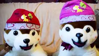 ГОМ ГАМ SHOW. Mister Max & Miss Katy помогли снять это видео