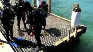 Bayplay in Coxy's Big Break - Discover Scuba Diving - Portsea, Mornington Peninsula