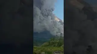 #wedusgembel #merapi #awanpanas #erupsi  #gunungteraktifdidunia