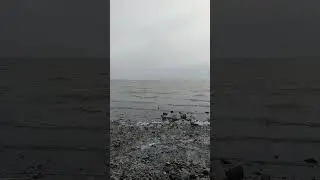 Таганрог #горизонт