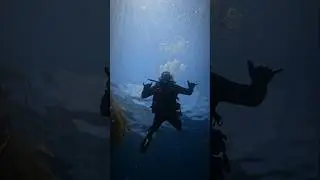 Come Scuba Dive with SCDiving #scdiving #scubatunes #ocean #adventuresport #scubadiving #fundive