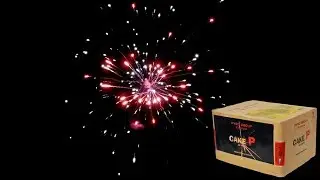 Pyrotrade PGE316 Cake P | PyroExtremGermany
