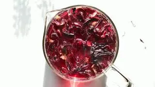 Hibiscus Tea: A Daily Ritual Across Cultures | Herbal Wisdom