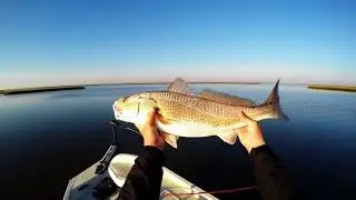 Redfish Kings - Dularge Redfishing 11/16/16