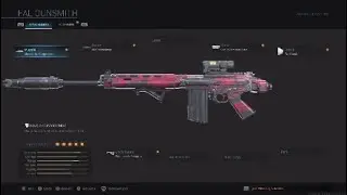 Best FAL setup MW