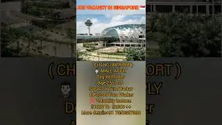 URGENT REQUIREMENT FOR AIRPORT JOB SINGAPORE / AIRPORT JOB #airport #airportjob