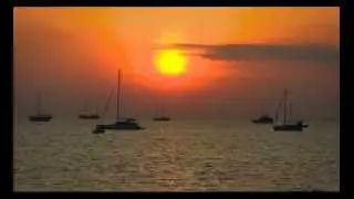 Wallaroo Tours book through Darwin Tours top ten things to do in Darwin!
