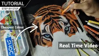 Real Time Oil Pastel Tiger Drawing | Colour Tiger Drawing | Tutorial for BEGINNERS