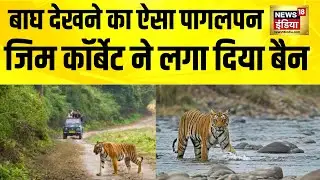 बाघ देखने का ऐसा पागलपन, Jim Corbett ने लगा दिया बैन | Jim Corbett National Park | Uttarakhand News