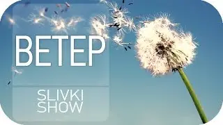 Почему дует ветер? [SLIVKI SHOW]