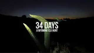 34 Days | a 2023 Wyoming limited quota elk hunt (4k)