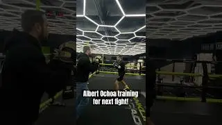 Albert Ochoa fight #3 January 20th #boxing #mitts