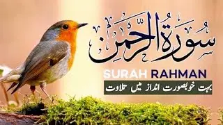 Surah Rahman Full HD | Most Beautiful & Heart Touching Quran Recitation | Surah Rehman