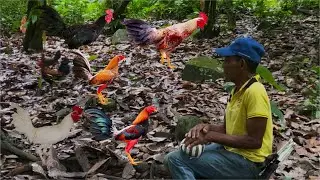 Recorrido hacia el hermoso gallinero del señor don Ramón 