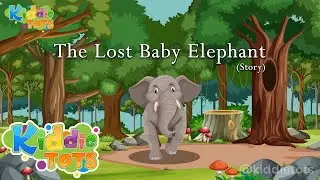 The Lost Baby Elephant |Kids Story | Moral story | Animal story|Kiddie tots| baby story | story book