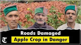 Heavy Rain & Cloudbursts Hit Shimla | Roads Damaged, Apple Farmers Face Losses