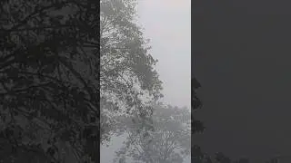 गणतंत्र दिवस की हार्दिक शुभकामनाएं | जय हिन्द जय भारत 🇮🇳