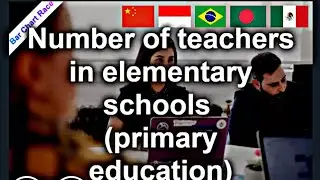 Where Are the Most Primary School Teachers in the World 