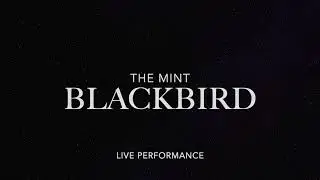 Blackbird - Live at The Mint