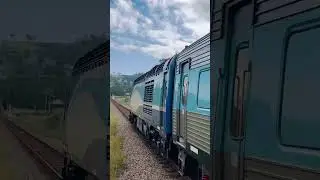 XPT Through Wallarobba