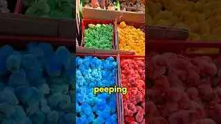 Why Peeps Took Over Easter