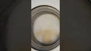 Pine Paste Sponge Rinse Wash! 😍😍😍 #spongetok #laundrydetergent #laundrytok #spongerinse #laundry